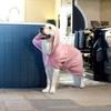 Lucky Pooch Dog Robe - Luxurious Dog Bathrobe - Ultra