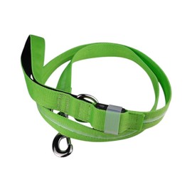 GLOWPAW Spring Green Ultra-Bright LED Dog Leash | Night Walks just got Safer | USB Rechargeable | Waterproof | Durable | 4 Light Modes & 3 Colors | Keep Your Pup & Yourself Safe on The Go!