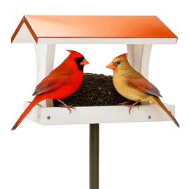 Copper Roof Bird Feeder for Outside，Hopper Birdfeeder Longtime Lasting, 10 Lbs Capacity, Premium Hardware, Squirrel Proof Materials, Heavy Duty Strong Construction 10 Years Lasting Without Pole