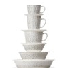 ARABIA 1068044 Arabian Minio Salastus Cup & Saucer, 6.9 fl