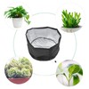 Plant Covers Frost Protection Winter Plant Covers Freeze Protection for