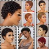Short Afro Curly Human Hair Wig Women, Short Afro Curly