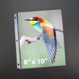 8x10 Photo Page Sleeves Acid Free Heavyweight Quality Protectors for 3-Ring Binders. 8x10 Photo Sleeve Refills, 50 Sheets (1 Pack) by Keepfiling