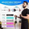 Peacafulife 200 Lbs Resistance Bands Set, Exercise Bands with Door