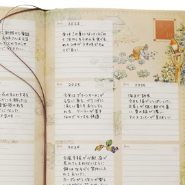 Diacars 1301-G02-140 Peter Rabbit (TM) Hilltop House No Name Engraved Diary for 5 Years