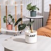 TwoDays Off-White Inspired Sneaker Planter, Hypebeast Room Decor, Small 5