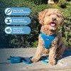Voyager Adjustable Dog Harness with Reflective Stripes by Best Pet