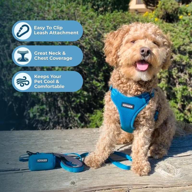 Voyager Adjustable Dog Harness with Reflective Stripes by Best Pet