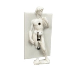 David Statue Light Switch Cover, Renaissance Switch Plate, Fun and innovative Switch Cover, David Wall Plate