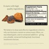 UPHORIC URTH Chaga Mushroom Extract - Double Extracted Fruitbody Mushroom