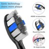 Lächen Replacement Brush Head, Fits All Smile Electric Toothbrushes, Pack
