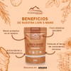 WILDMOUNTAIN - MELENA DE LEON EN POLVO BOLSA 100gr.