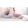 DUOMASUMI Sphynx Cat Vest Autumn Winter Devon Rex Cat Velvet
