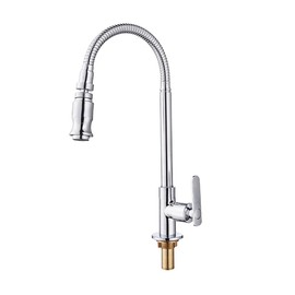 Kitchen Swivel Faucet with Cold Water Hose, Stainless Steel (AA)