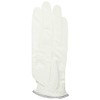 Casco DNA SUEDE LADIES SF-2010L Women's Synthetic Leather Golf Gloves
