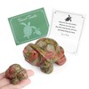 QINJIEJIE Unakite Crystal Travel Turtle Figurines Healing Crystals Protection Stone