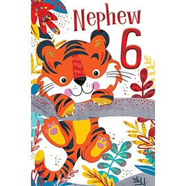 Nephew 6th Age 6 Today Cute Tiger Happy Birthday Card Lovely Verse