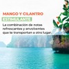 Yves Rocher Cremas Manos Hidratantes Aromas Energizantes Estimulantes Verbena Limón