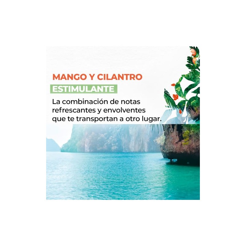 Yves Rocher Cremas Manos Hidratantes Aromas Energizantes Estimulantes Verbena Limón