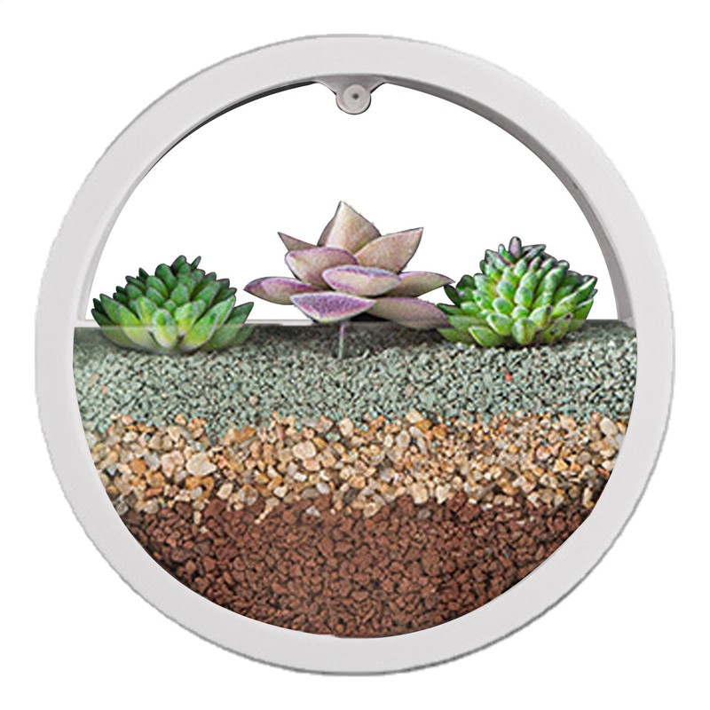 Round Wall Planter - Clear Vase Air Plants Holders |