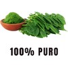 BioHerb. Moringa 100% Pura (180 Capsulas 500mg) - [Potente SuperFood]