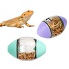 Bearded Dragons Enrichment Toy, Pet Feeder Interactive Toy for Lizards,