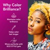 Eco Style Gel Booster Color Brilliance