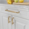 Amerdeco 10 Pack Champagne Bronze Cabinet Pulls 10 Inch(254MM) Hole