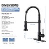 DJS Kitchen Faucets with Pull Down Sprayer Matte Black -