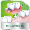 Polident denture attachment material 70g (mint flavor) x 5 /