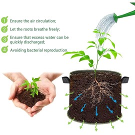 Fabric Grow Bags with Handles, 2 Gallon, 260g Heavy-Duty, Plant Pots for Garden, 5-Pack