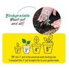Jiffy Organic Seed Starting 3" Biodegradable Peat Pots (100 Pots)