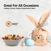 Fruit Filled Candy - Assorted 1 Pound Bulk Bag, Arcor
