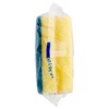 Spontex Salvaunghie X3 sanding sponge