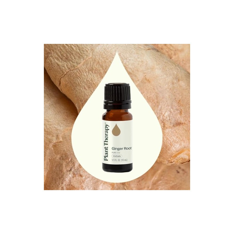 Plant Therapy Aceite Esencial De Jengibre 10ml