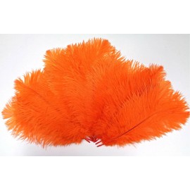 Lamplight Feather Orange Ostrich Feathers 8-12 inch size per SIX (6)