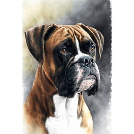 IHMOLN Vintage Pitbull Diamond Painting 12 X 16 inch Diamond Painting Kits for Adults and Beginners DIY Full Round Diamond Two Piece Set - Sparkling Gemstone for Home Decor Holiday Gift