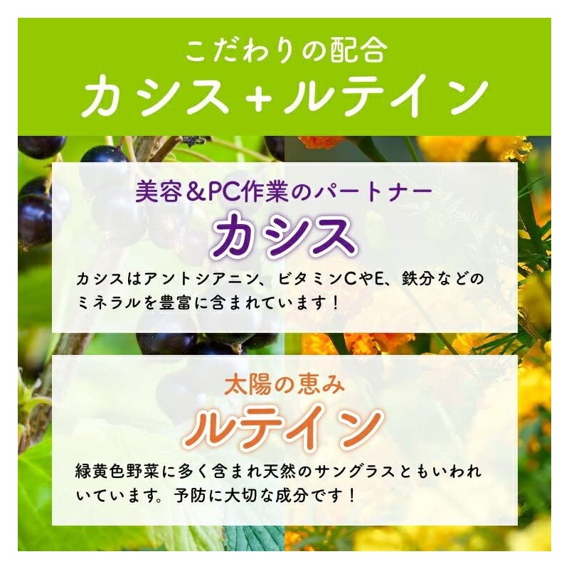 渡邊薬品 ブルーベリー ルテインプラス ビルベリー 60粒 3袋セット