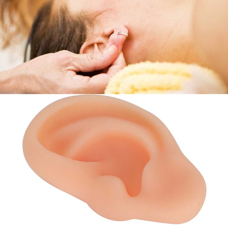 Professional Simulated Ear Model Acupuncture Practice Massage Teaching ToolLeft