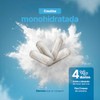 B Life Creatina Monohidratada Micronizada. 240 Cápsulas. Alta Pureza Sin