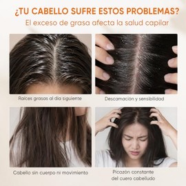 QUARXERY Champú Control de Aceite y Anticaspa Sauvage Freedom | Shampoo para Cabello Graso con Ácido Salicílico, Árbol de Té y Aminoácidos, Limpieza P