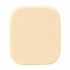 Covermark Powdery Sponge MVS (For Powdery Foundations)