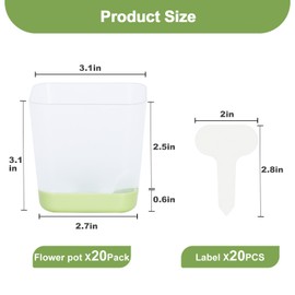 Oliz 20 Pack 3 Inch Plastic Succulent Pots with Drainage Holes & Saucers, Square Nursery Planters for Indoor Outdoor Plants, Half Clear Flower Pots