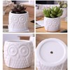 White Owl Ceramic Succulent Pots, 3Pcs Modern Decorative Flower Planters