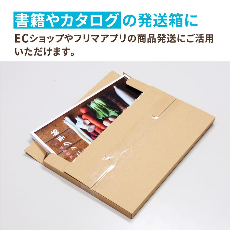 アースダンボール 段ボール 郵送用 箱 A4 厚み2cm ジッパー付 10枚セット ID0082