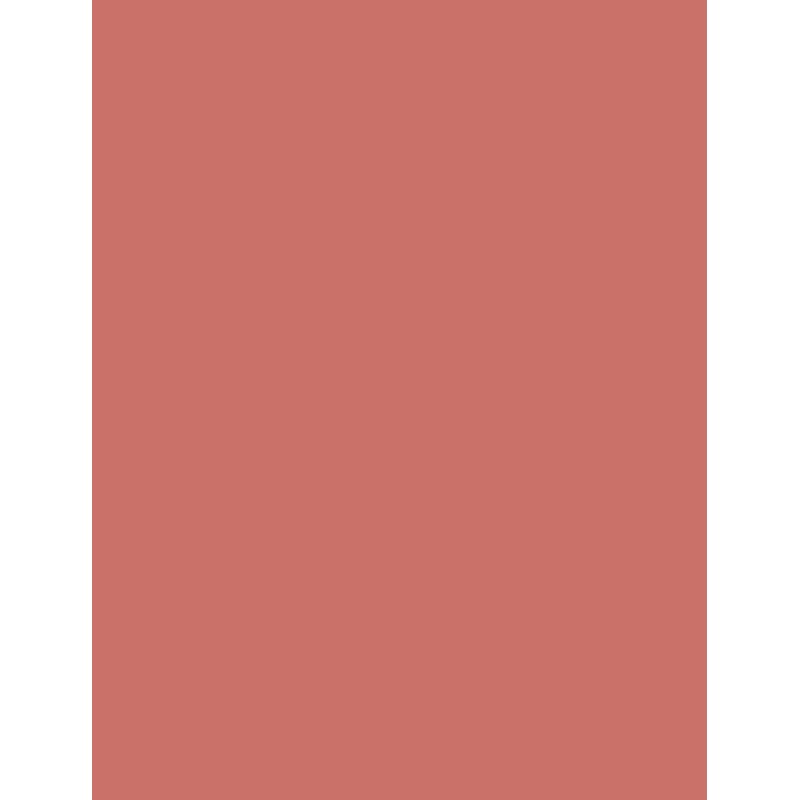 Flormar Silk Matte Liquid Lipstick, Highly Pigmented Long-Lasting Matte Lip