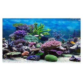 nafengldf Fish Tank Poster Coral Aquarium Background Underwater Poster Tank Background Stickers for Fish Tank 61 * 30