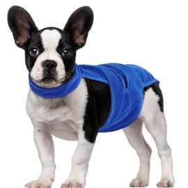 QBLEEV Female Dog Diapers with Adjustable Suspenders – Washable Sanitary Panties for Dogs in Heat or Incontinence, Escape-Proof Reusable Pet Period Underwear Onesie for Small to Large Breeds