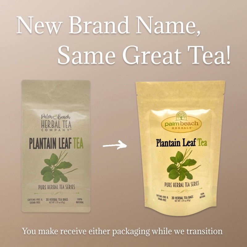 Palm Beach Medicinal Herbs - Plantain Leaf Tea - Pure