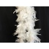 KarnevalsTeufel Feather Boa, One Colour